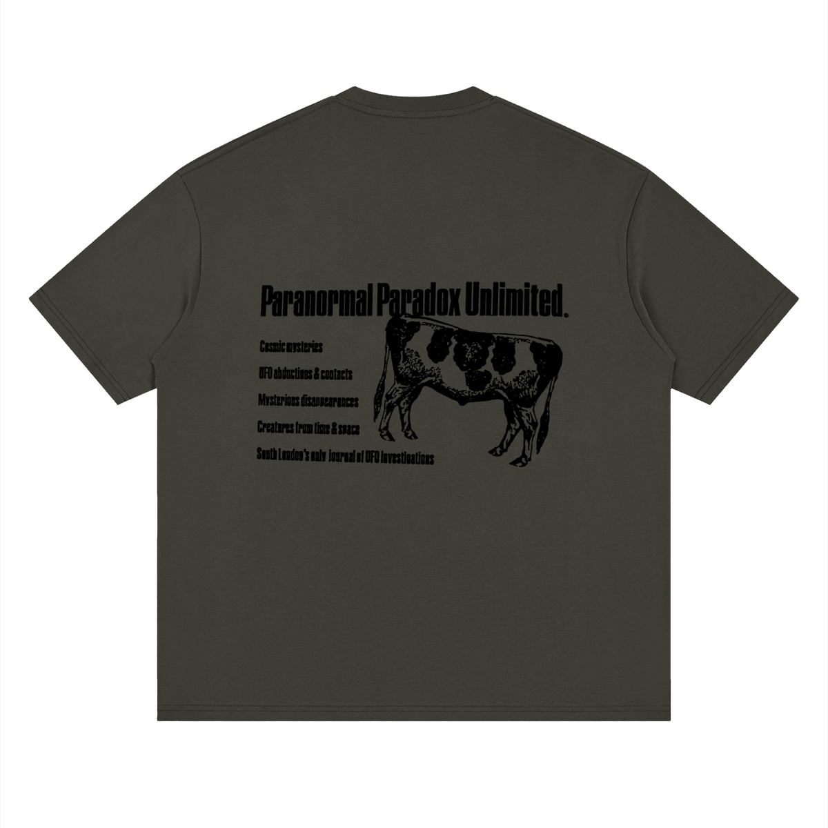 Paranormal Paradox — Drop Shoulder T-Shirt
