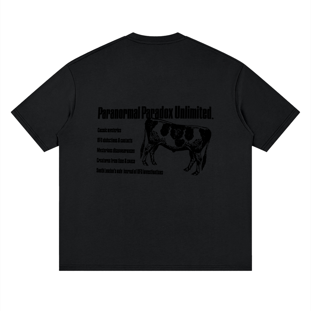 Paranormal Paradox — Drop Shoulder T-Shirt