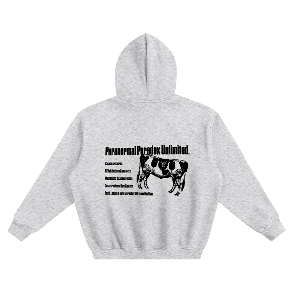 Paranormal Paradox — Boxy Hoodie