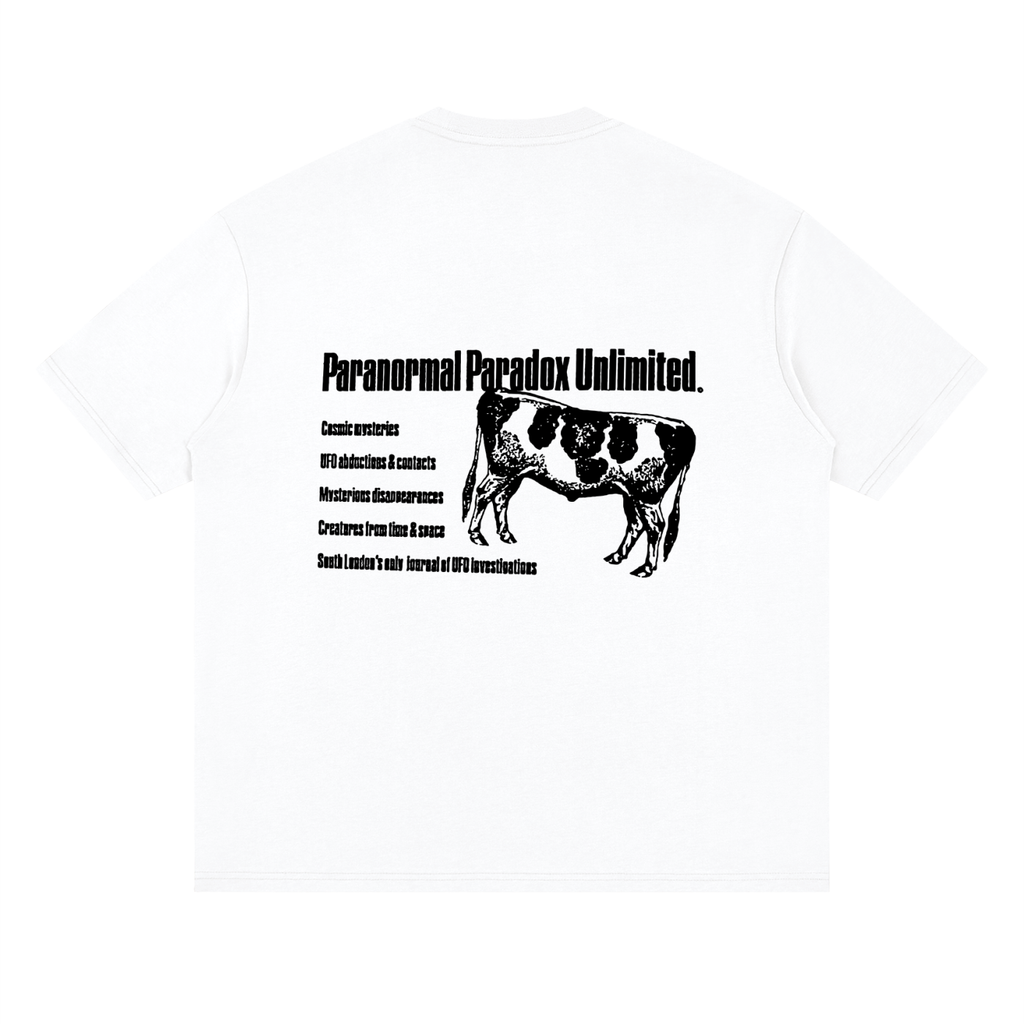Paranormal Paradox — Drop Shoulder T-Shirt