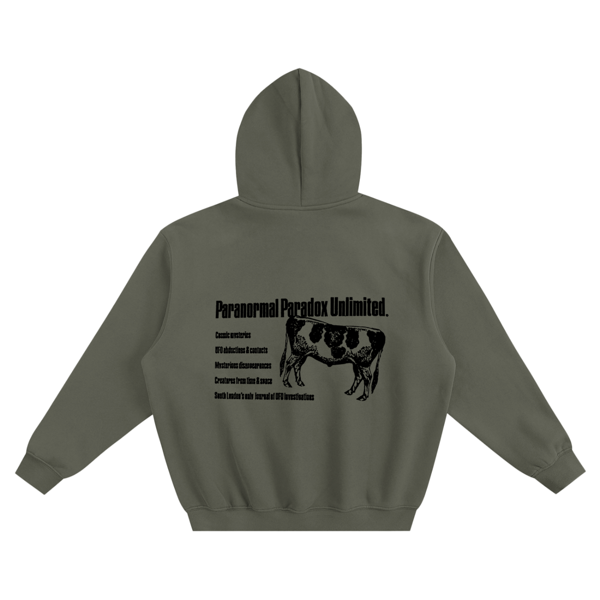 Paranormal Paradox — Boxy Hoodie