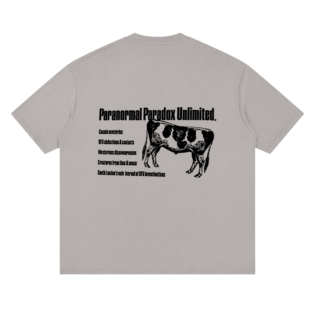 Paranormal Paradox — Drop Shoulder T-Shirt