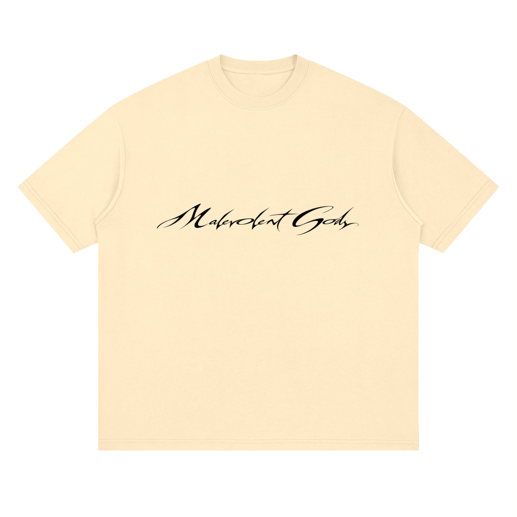Paranormal Paradox — Drop Shoulder T-Shirt