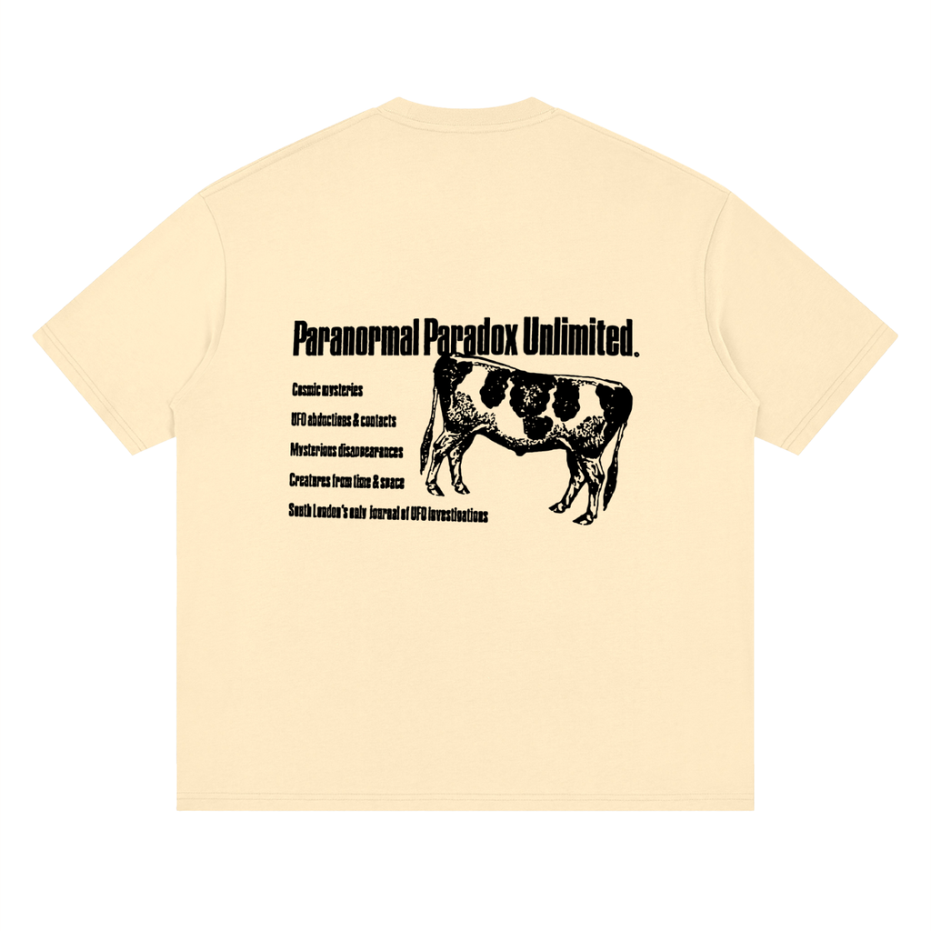 Paranormal Paradox — Drop Shoulder T-Shirt